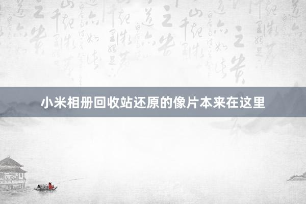 小米相册回收站还原的像片本来在这里