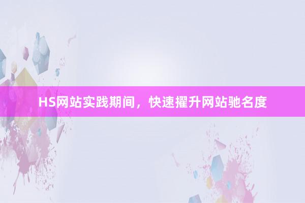 HS网站实践期间，快速擢升网站驰名度