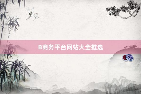 B商务平台网站大全推选