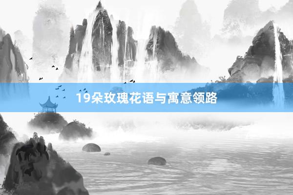 19朵玫瑰花语与寓意领路