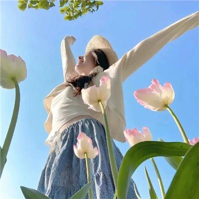 怪医杜立德5：百万傻蛋